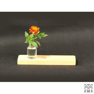 _WOOD t qmL 350mm×s100mm×30mm ICdグ[OGW-OKIC350] y܂ȔzyJbeBO{[hzyCzyv[gzyVR؁zyꖇz