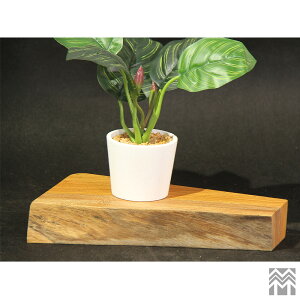 _WOOD fBXvCX^h 270mm×s130mm×46mm ICdグ[OGW-K070124028] yؐzyꖇzyCzyVR؁z