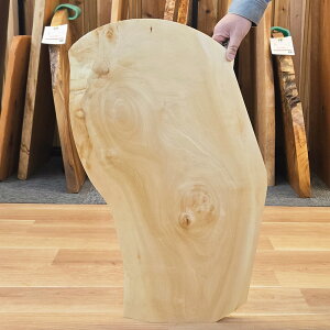 _WOOD ꖇ ȁiƂj i̂݁jICdグ[OGWJ-042925010]yVzyVR؁zyCzyZ^[e[uzyrOe[uzy[e[uzyzyԑzy{z