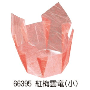 OP () 200 66395 g~_yopizyozyzyJbvzyP[XzyƖp~[@~[piXz