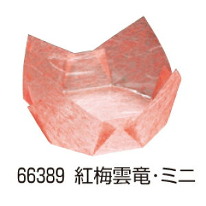 OP (~j) 200 66389 g~_yopizyozyzyJbvzyP[XzyƖp~[@~[piXz