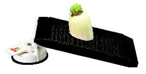 �W�����{ ���낵�y���낵�� ���낵��z�y�Ɩ��p�~�[�@��~�[�p�i���X�z