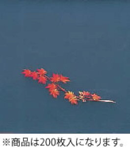 OPNAlG Ԃ݂(200) OS-15-9y~zyƖp~[@~[piXz