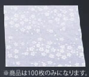 N~ (100) CS-300y~zyazyƖp~[@~[piXz