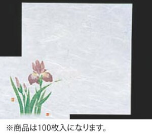 VEG򏑎(100) Ҋy~zyazyƖp~[@~[piXz