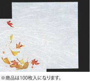 VEG򏑎(100) ty~zyazyƖp~[@~[piXz