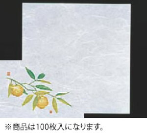 VEG򏑎(100) Mqy~zyazyƖp~[@~[piXz