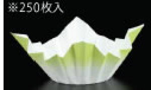 Fa(250) ΐF SKA146yzyܓzyzyƖp~[@~[piXz