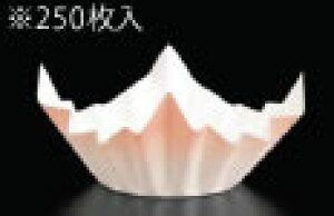 ~jFa(250) F SKA149yzyܓzyzyƖp~[@~[piXz