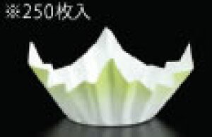 ~jFa(250) ΐF SKA151yzyܓzyzyƖp~[@~[piXz