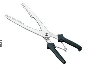 Ɩp͂ࣂ͂ SK-4049ykzyLiCtzyLzyƖp~[@~[piXz