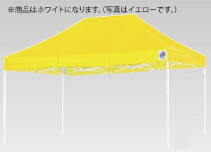 C[W[AbvfbNXeg DX-45 zCgyszyLvpizyƖp~[@~[piXz