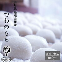 もち でわのもち まる餅 12個入り×10パック 送料無料 ちょっと贅沢 特別栽培米 山形県産 令和5年産 美味しいお餅 個包装 氷河米 山形 庄内 農家直送