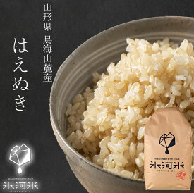 米 送料無料 はえぬき 玄米 2kg ～ 10kg 米 令和7年産 特別栽培米 氷河米 山形 庄内 農家直送 1hag 2キロ 5キロ 10キロ お米