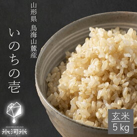 米 いのちの壱 玄米 5kg 送料無料 ちょっと贅沢 希少 特別栽培米 山形県産 令和5年産 美味しいお米 氷河米 山形 庄内 農家直送 健康 腸活