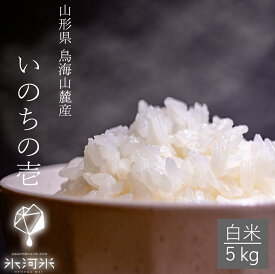 米 いのちの壱 白米 5kg 送料無料 ちょっと贅沢 希少 特別栽培米 山形県産 令和5年産 美味しいお米 氷河米 山形 庄内 農家直送