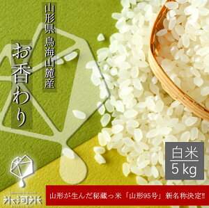 V ߘa7NY iR`95j  5kg ʍ͔|ā@X͕ R`  _ƒ 1okas05