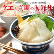 ギフト 長崎産天然クエと真鯛の海鮮丼セット(クエだし醤油付き) クエ刺身 クエ刺し クエ刺 天然 クエ グ…