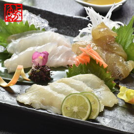 長崎産天然クエ刺身食べ比べ（クエ刺身・漬け・炙り・クエだし醤油付き）取り寄せ 食べ物 グルメ ギフト 人気 クエ kue クエ刺身 クエ刺し クエ刺 長崎産 天然 クエ グルメ お祝い プロトン 高級 幻の高級魚