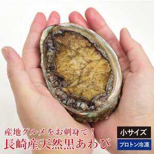 あわび 冷凍 貝の人気商品 通販 価格比較 価格 Com あわび 冷凍 貝の人気商品 通販 価格比較 価格 Com