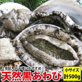 楽天市場 黒アワビの通販
