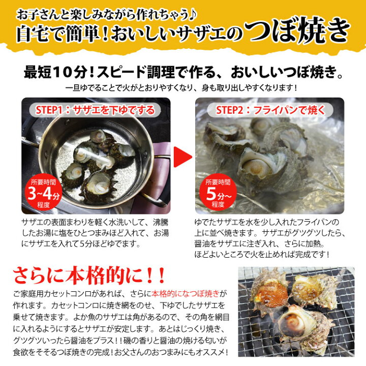 ギフト 送料無料活き活きサザエ つぼ焼きに 1kgバーベキューに お刺身に 大サイズ さざえ