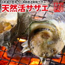 【ポイント10倍！11日1:59迄】長崎産天然サザエ (さざえ) 大サイズ 計500g、計1kg、計2kg、計3kg、計4kg、計5kgギフト 送料無料 長崎県の大自然の中で育ったから栄養抜群！調理簡単レシピ付！ お祝い 誕生日 刺身 つぼ焼き BBQバーベキュー 海鮮バーベキュー