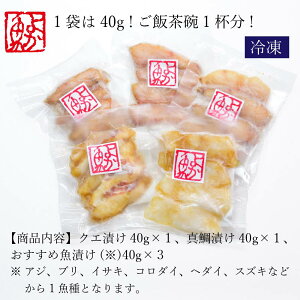 \㓇tЂ 3v300g ܂ v600g 1܂100g Ⓚ  茧 B CNЂ Ђ Ⓚ Ђ CN Ђ CNЂ  CTL AW u  v[g t 
