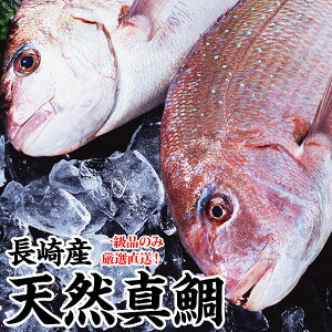 天然 マダイの人気商品 通販 価格比較 価格 Com