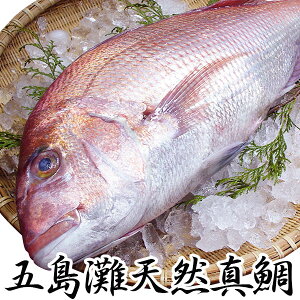 天然 マダイの人気商品 通販 価格比較 価格 Com