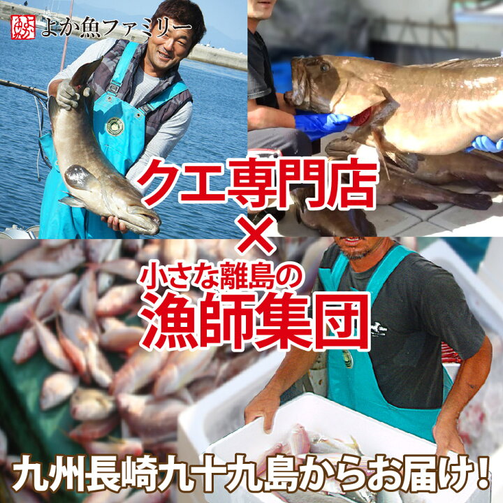 楽天市場 天然クエと漁師地魚鍋セット 3人前幻の高級魚クエに漁師一押し地魚 すり身 長崎ちゃんぽん麺入り クエだしの素 レシピ付 長崎 鮮魚 九州 産直 鍋セット 海鮮鍋 くえ 海と山の旬鮮産直よか魚ドットコム