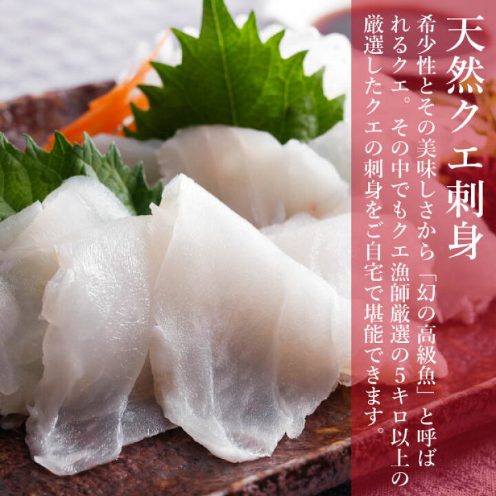 楽天市場 ギフト 最上級クエ刺身 薄造り 1袋 2人前程度 程よい脂 まさに本物 ふぐより美味しいお刺身 釣り物で活かしものの最上級天然クエ 単品購入可能 海と山の旬鮮産直よか魚ドットコム