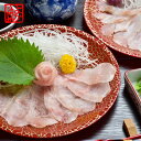 父の日 ギフト 長崎産天然クエ刺身食べ比べ（大トロ・中トロ・本身・クエだし醤油付き）クエ kue クエ刺身 クエ刺し クエ刺 長崎産 天然 クエ グルメ お祝い プロトン 高級 幻の高級魚 くえ クエ鍋のよか魚 刺身