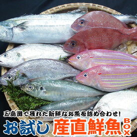 長崎 県 漁 連 鮮魚 ボックス