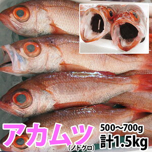 楽天市場 新鮮な旬の鮮魚 赤ムツ ノドクロ ノドグロ 海と山の旬鮮産直よか魚ドットコム