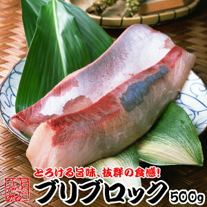 \tJnI1221肨͂IYu(VR) hgpȂubN500g (3`4lO) iug250gO@wg250gOjՂ莉̂̂ugƂς肵wgґɐH