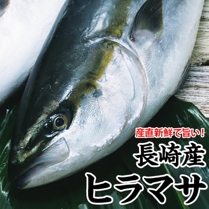 楽天市場 養殖ヒラマサ 平政 計4kg前後 1尾送料無料 さっぱりした脂と新鮮な歯ごたえ 九十九島鮮魚 海と山の旬鮮産直よか魚ドットコム