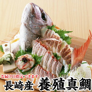 Mtg Y^({B}_C)@1.2kgO1(2`3lO)ɂ^l v[g j }_C Hn N _ j j Mtg 蕨