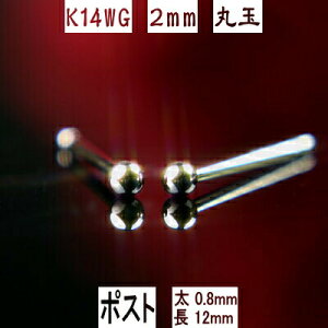 yP10{3123:59܂ŁzZJhsAX  K14WGzCgS[hۋʃsAX 2mm sAX|Xg߃^Cv 0.8mm12mm K14 sAX 14k sAX 14 ۋ sAX {[ sAX 