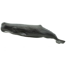 楽天市場 マッコウクジラの通販