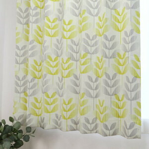 I[_[J[e k CG[ un438ye Ռ2 240TCY 100cm2/125cm2/150cm2/200cm1/250cm1/300cm1 60cm`255cm { v[cYȌ`ԈH h[vJ[e 