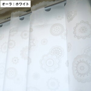 ՑJtFJ[e hJrf h  C Eߏ ډB vCoV[ی O猩SzȂpJtFJ[e yJbgp\z3TCY