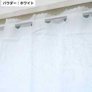 ՑJtFJ[e hJrf h  C Eߏ ډB vCoV[ی O猩SzȂpJtFJ[e yJbgp\z3TCY