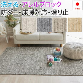 洗える ラグ カーペット マット 北欧 おしゃれ オシャレ デザイン ウォッシャブル アレルブロック 防ダニ ホットカーペット・床暖房対応 遊び毛防止 滑り止め 日本製 肌に優しい 無地 シンプル ベーシック 約190×190cm Ecru エクリュ(S) 引っ越し 新生活 ragu