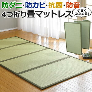  }bgX tA ~ߕt N[[V aXy[X z  VO 100×210×1.3cm 4܂}bgX(O) }\