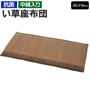 zc  COTzc NbV C zc ^ ėp  Ȃ hJr R  ΍ lp ` 55cm 110cm uE a Mtg 킢 g a  G 