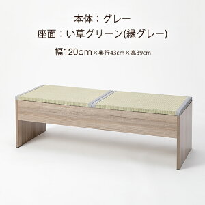   x` [t _CjO`FA オ ֎q  60cm 120cm s43cm  39cm CX 1l| 2l| ؐ x``FA ֎q CX VOxbh  H  a_ a a 