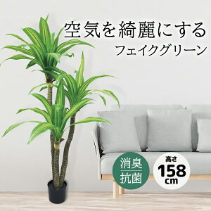 tFCNO[ ^ ϗtA tFCN  158cm A  t 傫 { R L h gݗĎ CTG} sv ][g 썑  96×s97×158cm