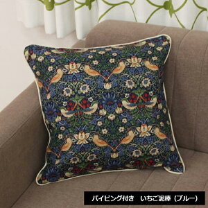 X Jo[t NbV tANbV 45×45cm NbVZbg gt k  Mtg 蕨 45×45cm X pCsOȂ/pCsO (Y) G { ` 