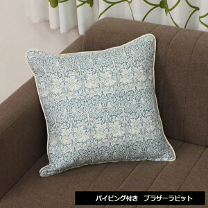 X Jo[t NbV tANbV 45×45cm NbVZbg gt k  Mtg 蕨 45×45cm X pCsOȂ/pCsO (Y) G { ` 